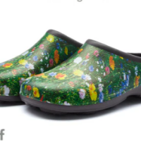 Backdoor Shoes