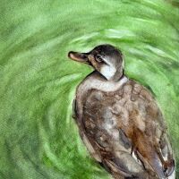 MeartNature