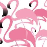 Karen’s Cards from Flamingo Paperie