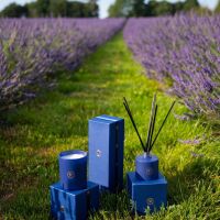 Warwickshire Lavender Farm
