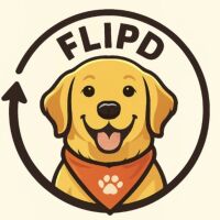 Flipd - Young Enterprise 